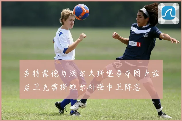 多特蒙德与沃尔夫斯堡争夺图卢兹后卫克雷斯维尔补强中卫阵容